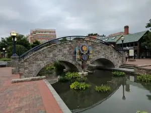 Frederick SEO - Bridge