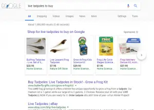 seo guide - tadpoles